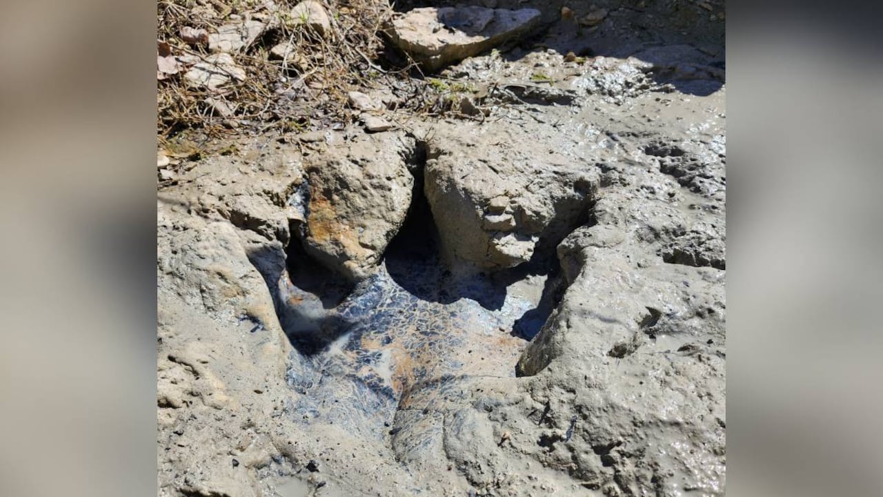 La sequía deja al descubierto, desde hace algunos años huellas de dinosaurios que se escondían bajo río en Texas.