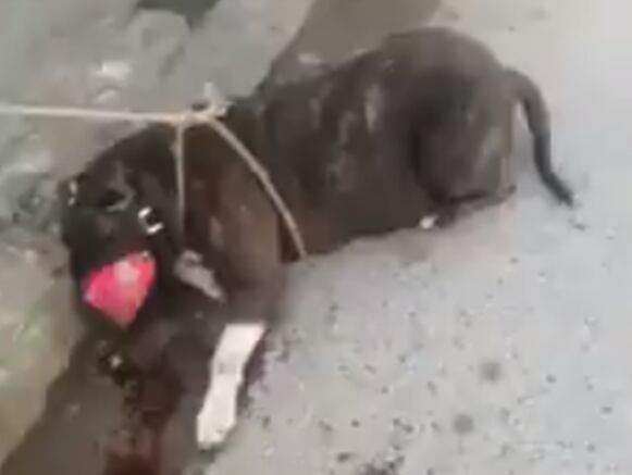 Ocurrió en el barrio Villa del Llano, en Barbosa.