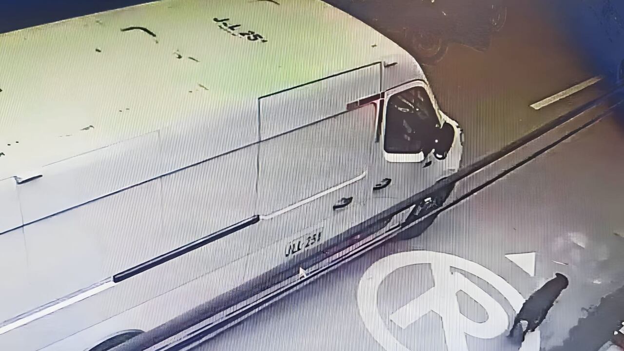 El canino no resistió y falleció.