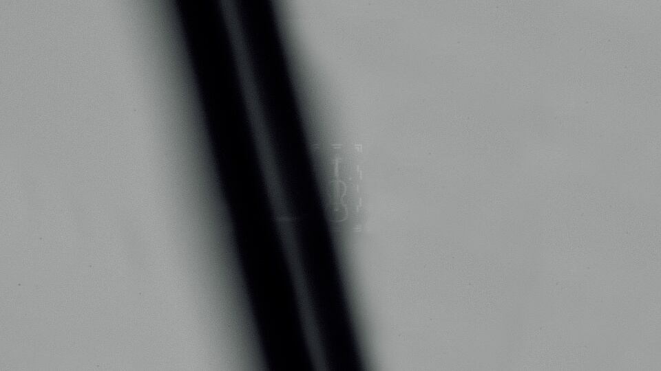 La famosa burla de Don Cangrejo en Bob Esponja inspiró un avance en nanotecnología.