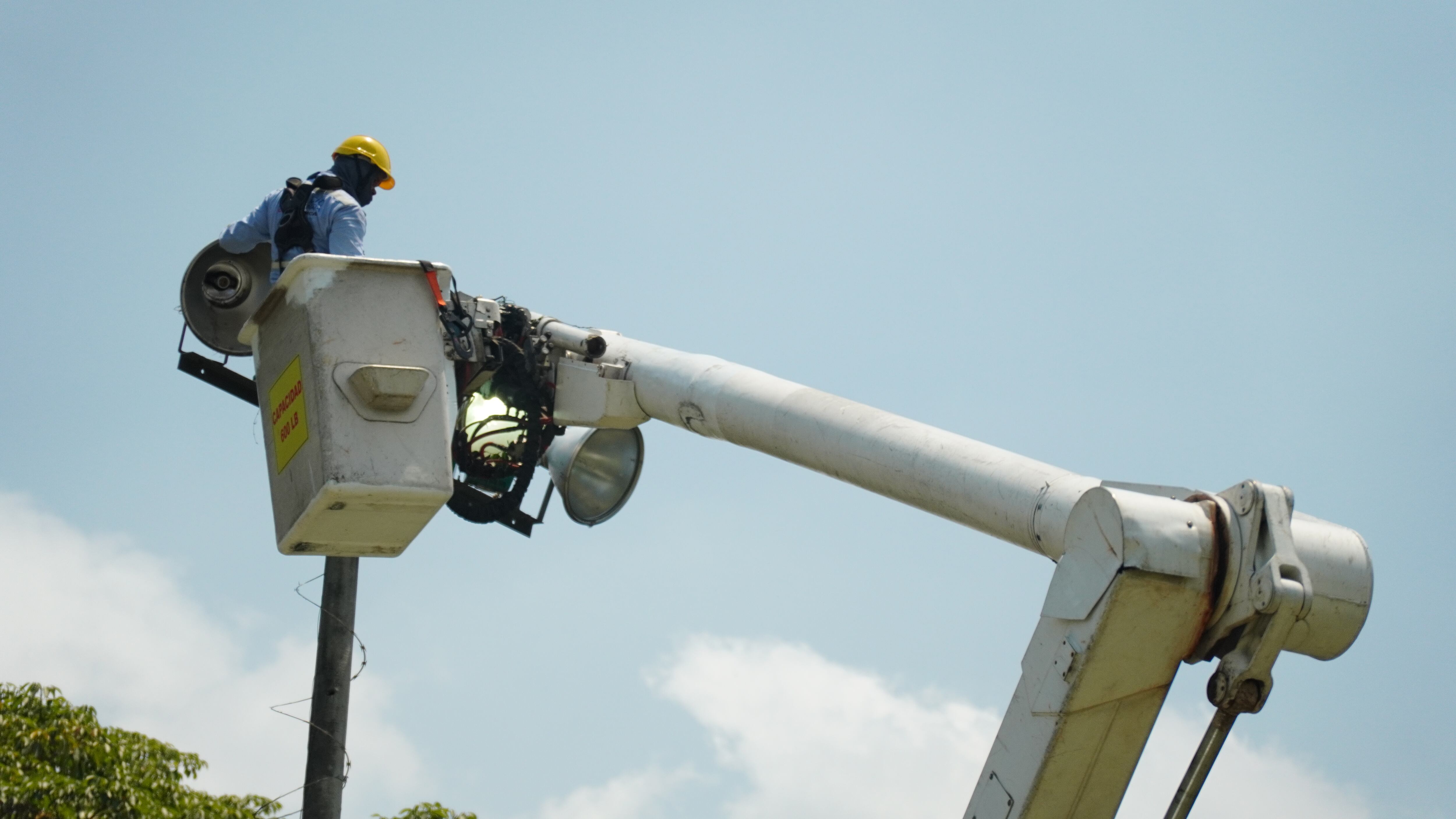 Los trabajadores de las Empresas Municipales se encuentran realizando las labores de mantenimiento.