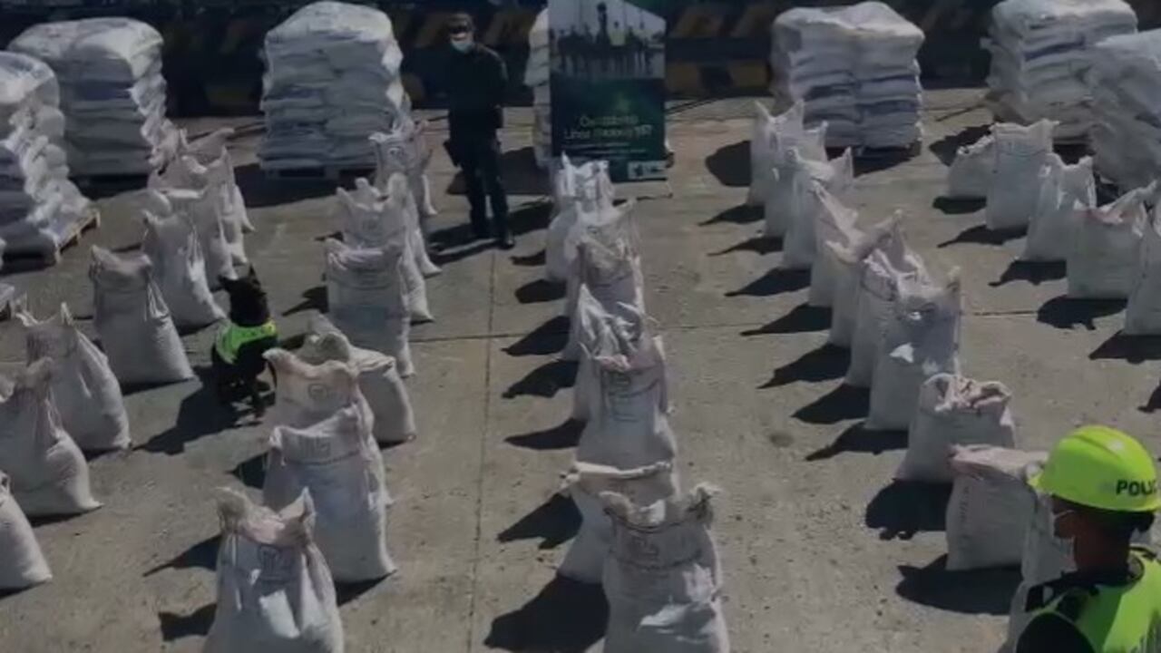 Ali, perro antinarcóticos