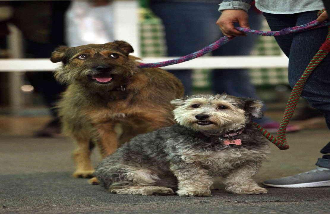 Foto: León Darío Peláez / SEMANA 