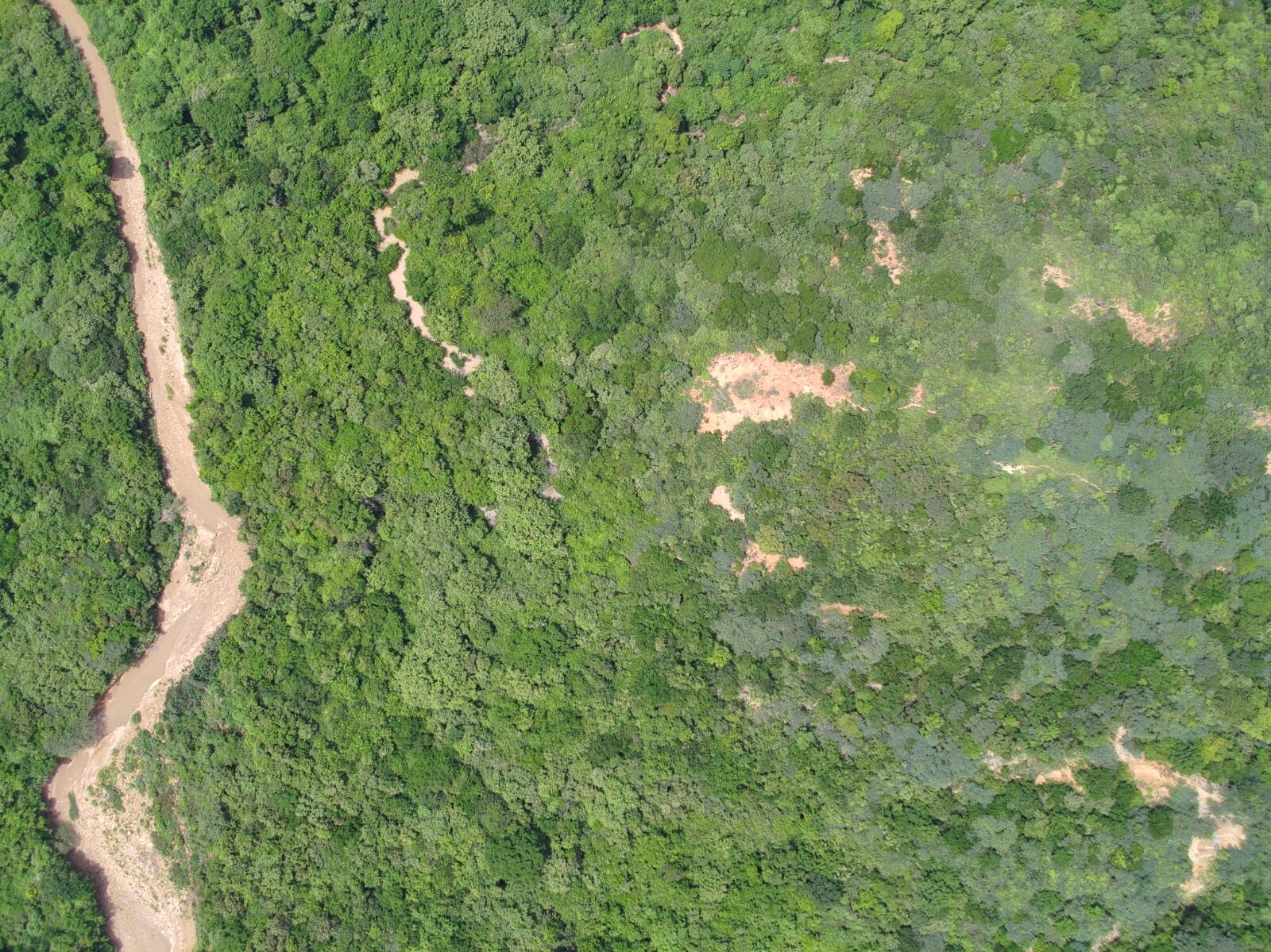 Destruyen laboratorio que producía 400 kilos de cocaína cada cuatro días en zona rural de Cúcuta, Norte de Santander.