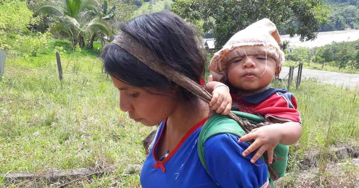 Comunidad u'wa de Norte de Santander producirá alimentos sin generar impactos ambientales. Foto: Movimiento Mais.