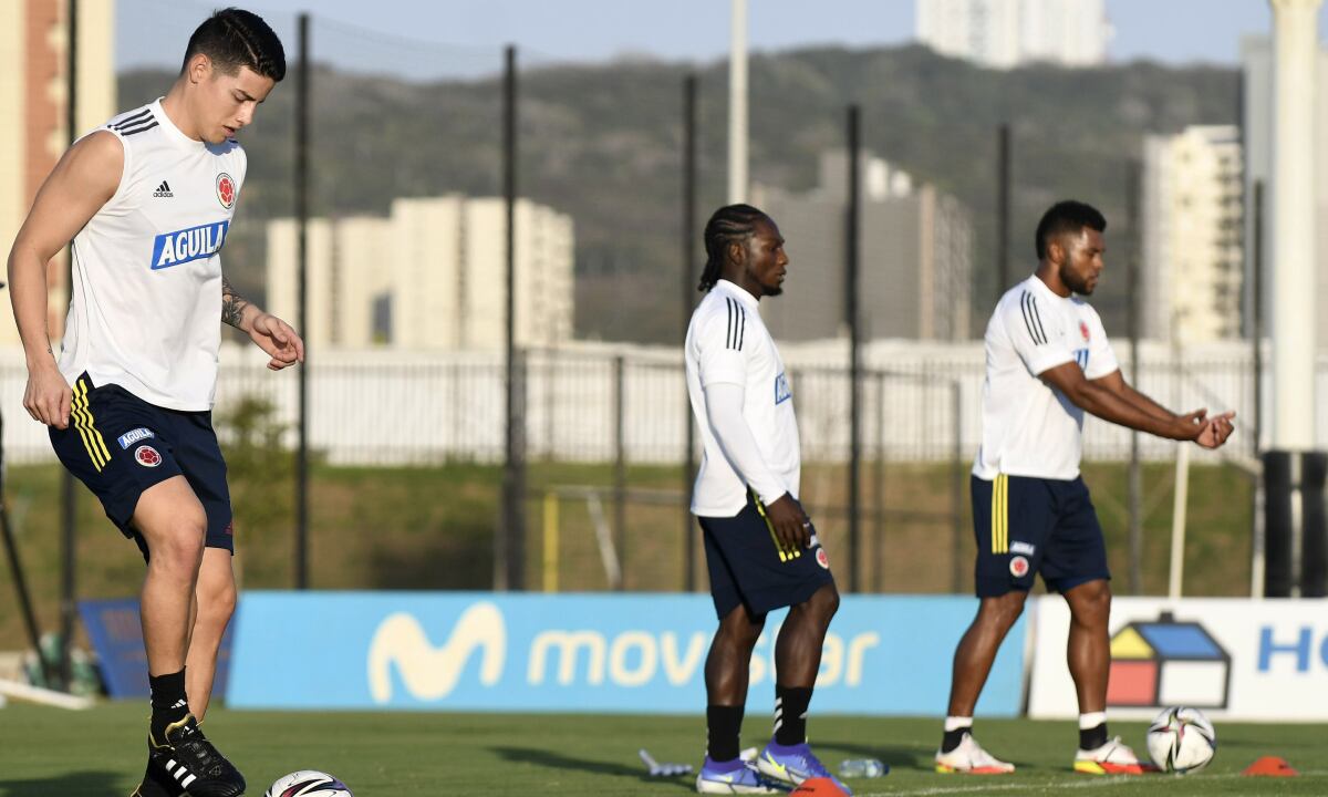 Selección Colombia. Foto: FCF