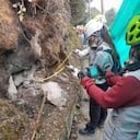 Investigadores del Servicio Geológico Colombiano en Cerro Bravo, analizando la situación.