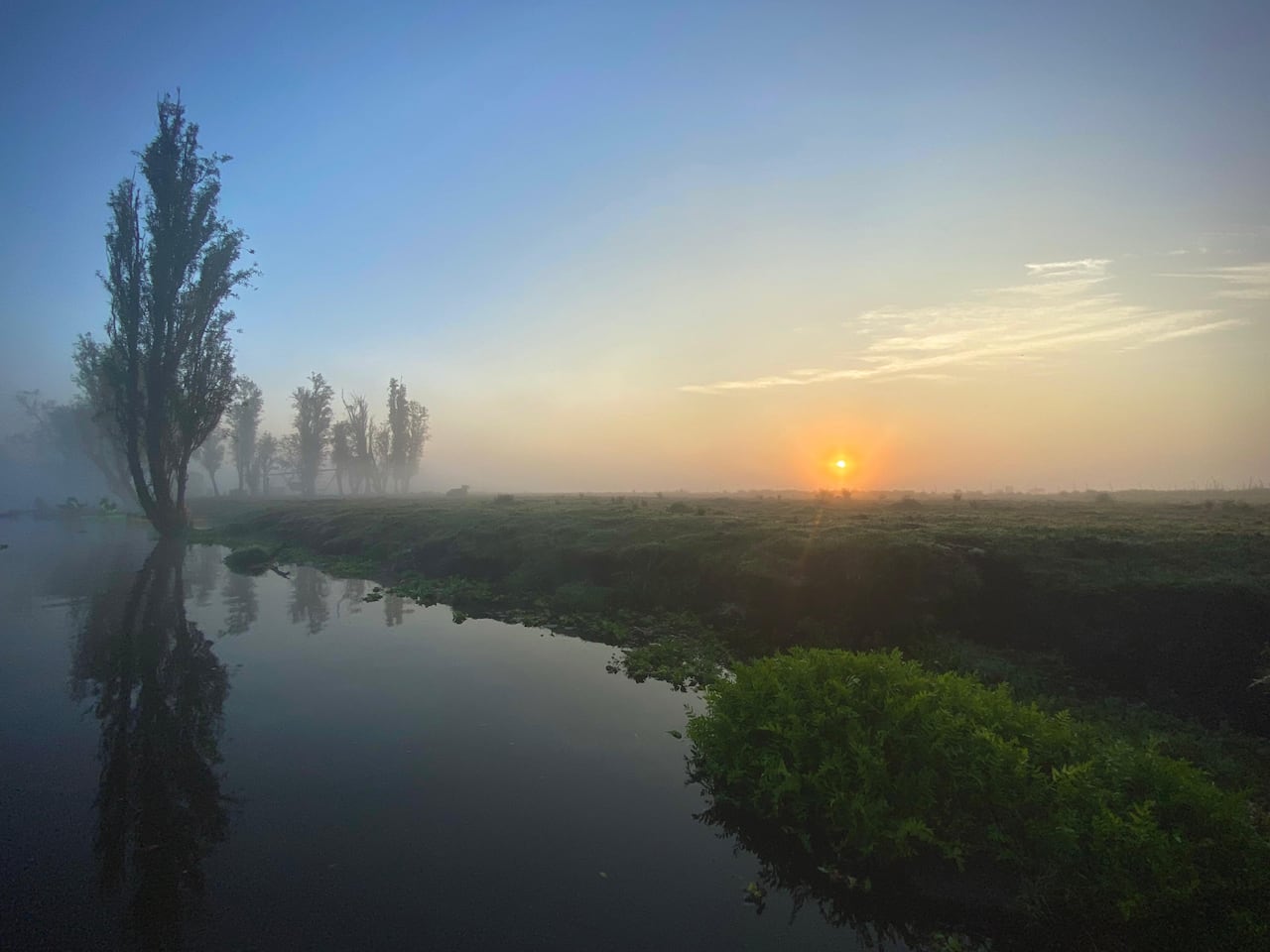 Amanecer entre las chinampas de las formaciones de agua en Xochimilco.