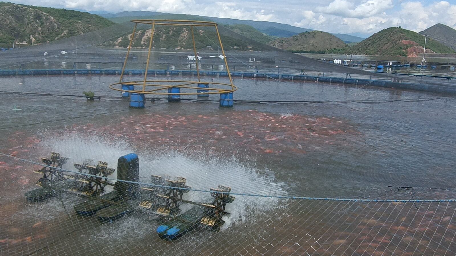 Perú será el invitado especial en esta versión.
