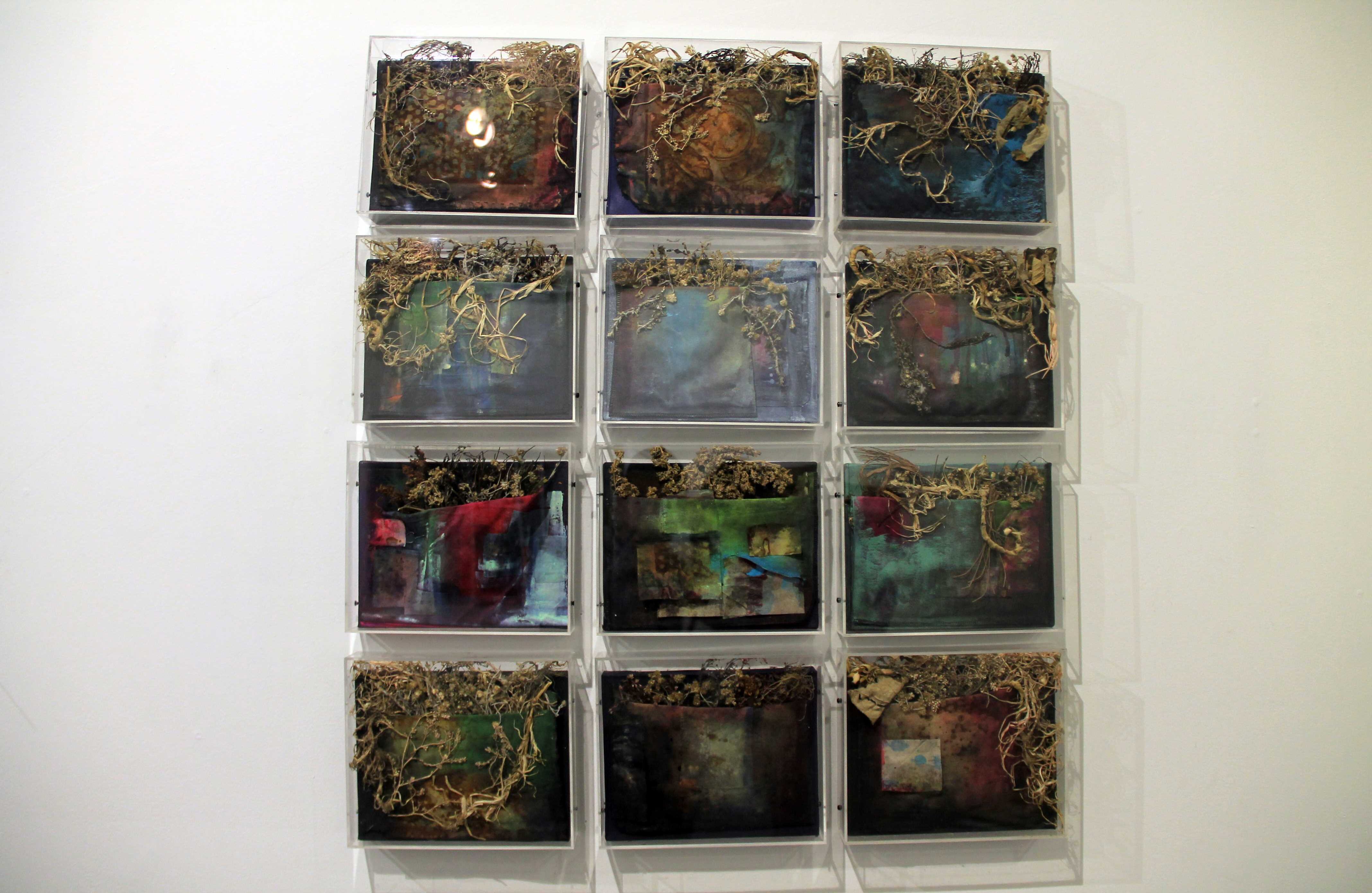 'Vestigiun Tectona Grandis'. Foto: Álvaro Tavera