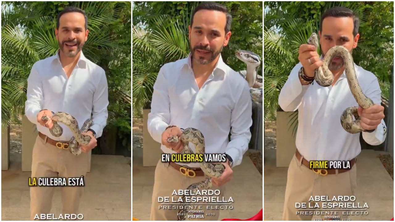 Abelardo De La Espriella, presidente electo de los colombianos, tras encontrar una serpiente en el patio de su casa, en Barranquilla