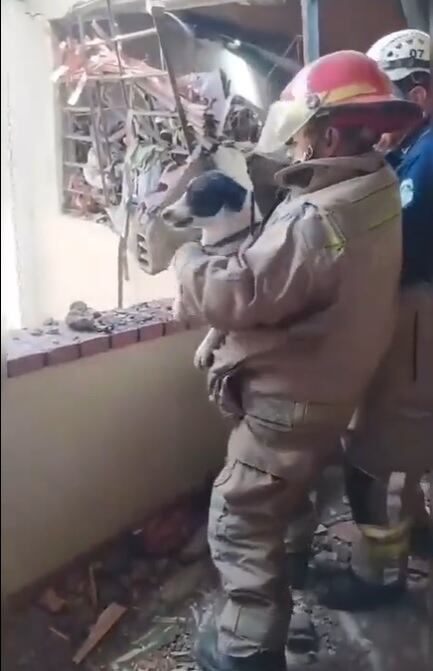 Fue encontrada por los Bomberos de Rionegro