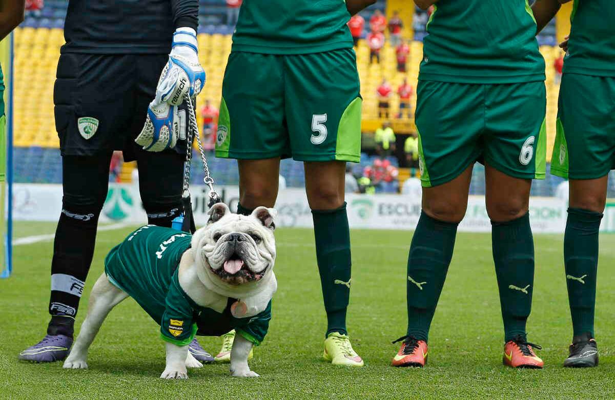 Foto Guillermo Torres / SEMANA