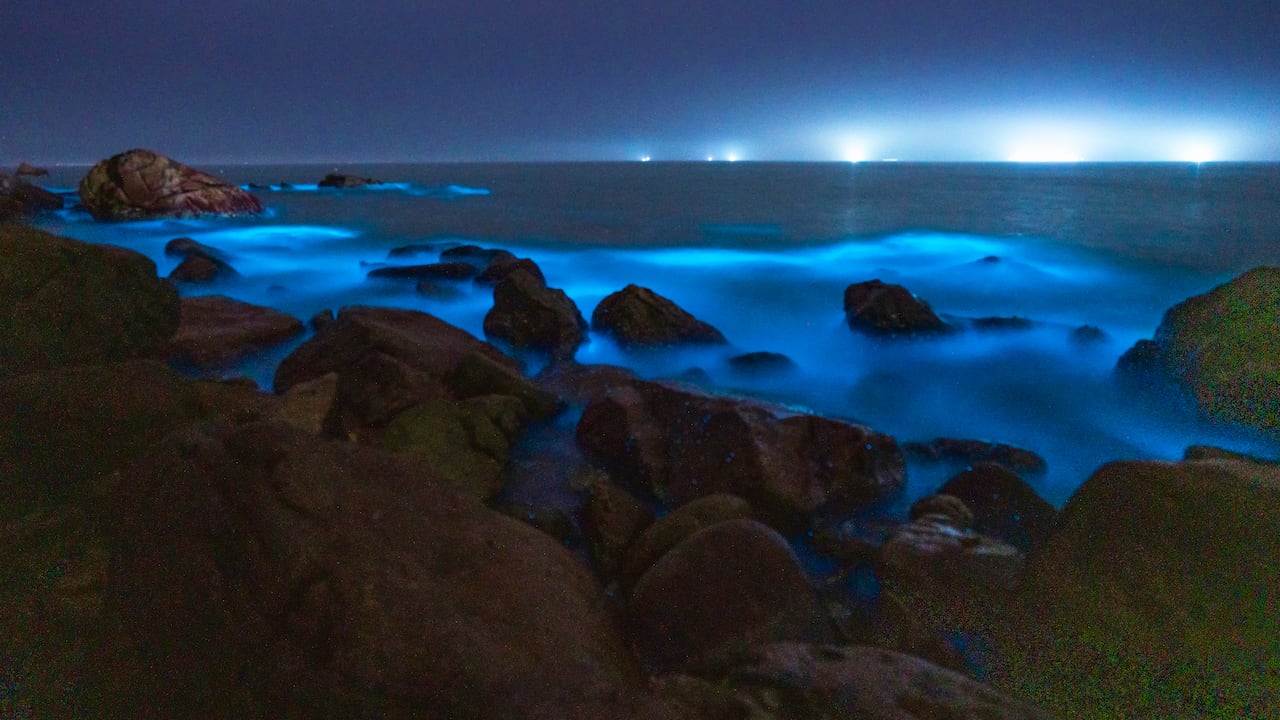 Las playas fluorescentes representan una de las tendencias turísticas que ha tomado más fuerza