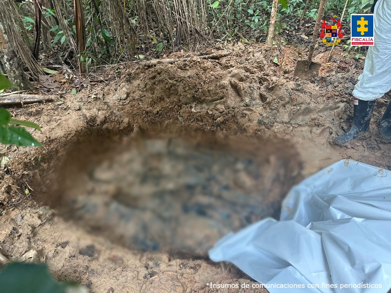 Una fosa común fue encontrada en el municipio de Calamar, Guaviare.