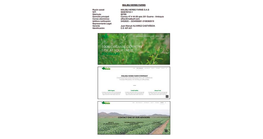 Los narcos de la fruta “envenenada”_5