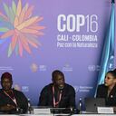 El Ministro de Medio Ambiente de Sierra Leona, Jiwoh Abdulai (centro), habla junto a sus homólogos de Nigeria, Iziak Kunle Salako (i), y Granada, Safiya Sawney, durante una conferencia de prensa en la zona azul de la cumbre COP16 en Cali, Colombia, el 30 de octubre. , 2024. (Foto de JOAQUIN SARMIENTO / AFP)