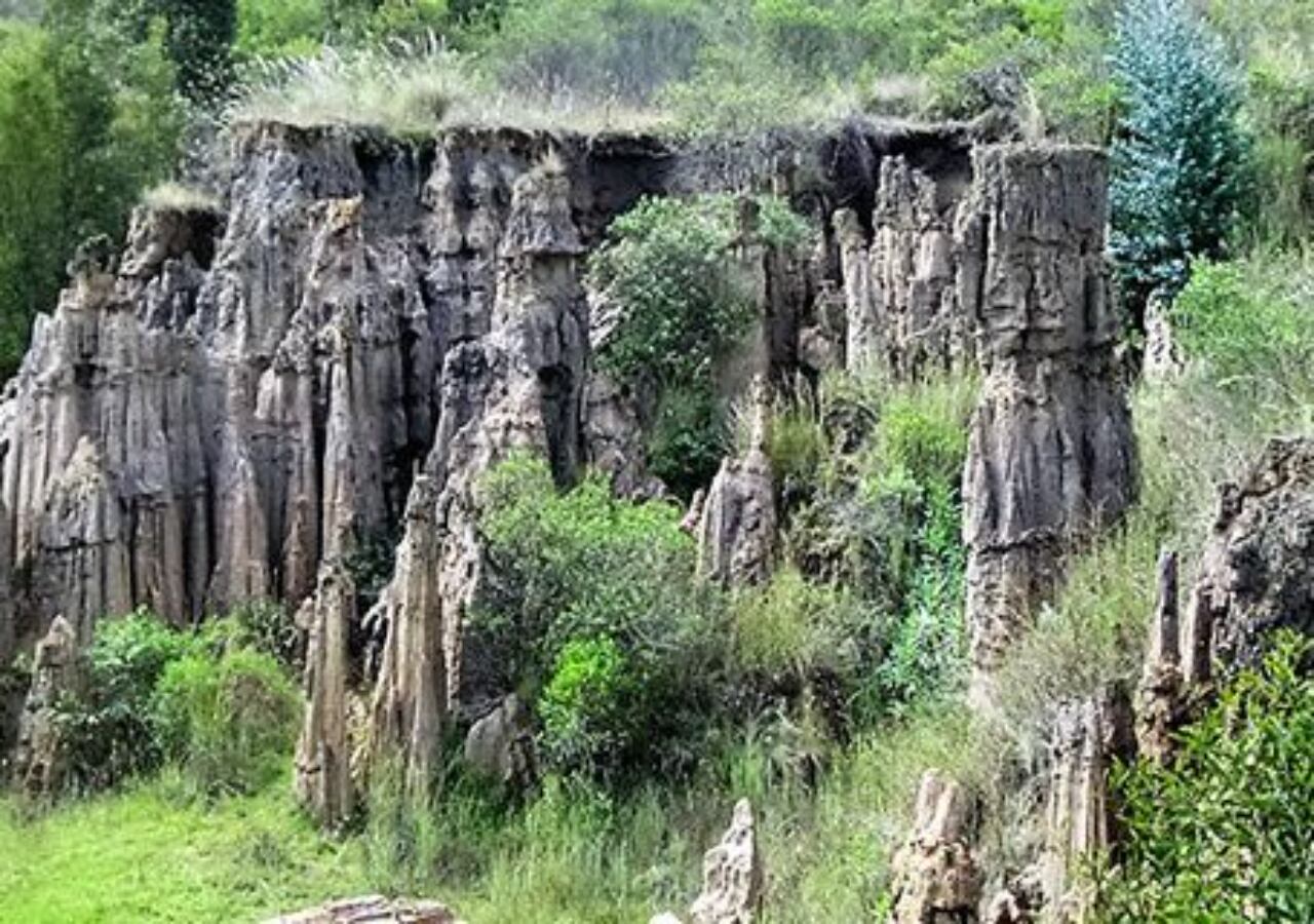 Estoraques, Floresta