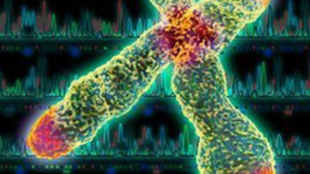 La mujer tenía unos cambios inusuales en su mapa genético.