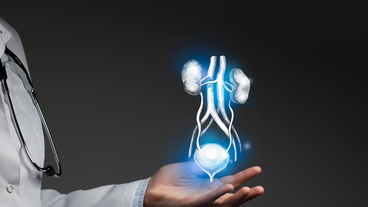 Las infecciones urinarias ocurren cuando entran bacterias, generalmente de la piel o el recto, e infectan el sistema urinario, los riñones, la vejiga o la uretra.