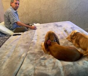 Foto: Instagram @ninivargas06.