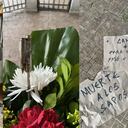 Amenazas a periodista en Cali.