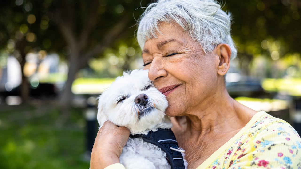 Hay razas de perros especiales para los adultos mayores.