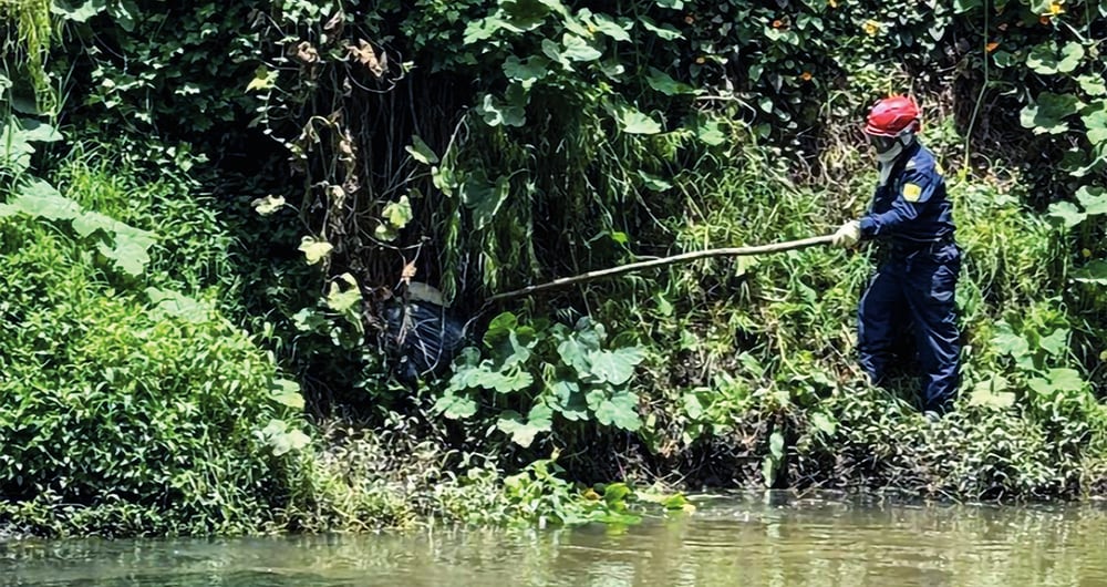 Imagen de la búsqueda de Valeria Afanador. 