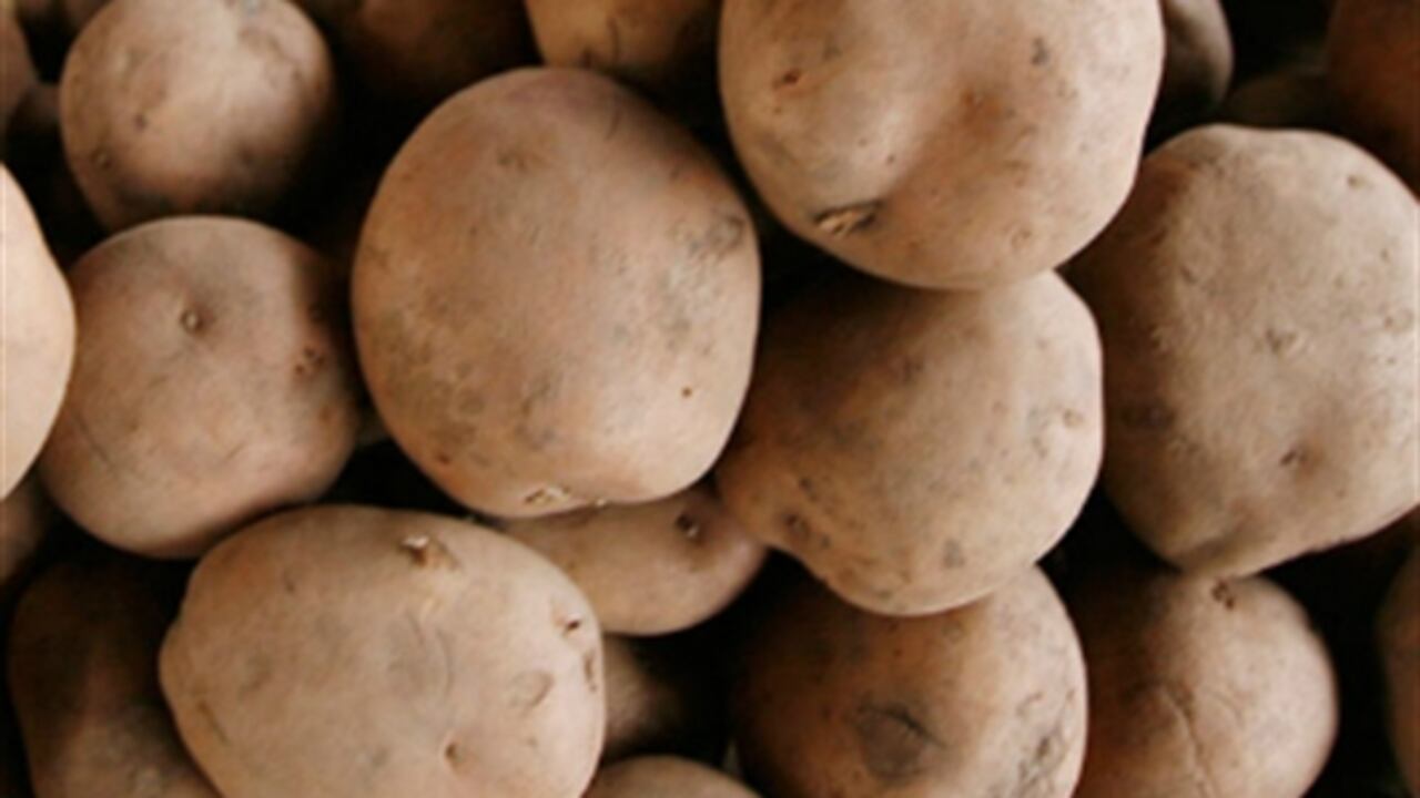 El precio de la papa se ha incrementado en 100% durante los ocho días del paro.