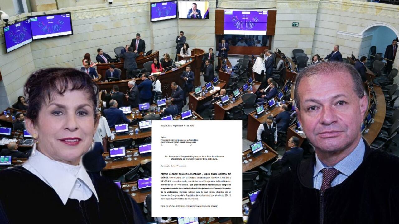 Julia Emma Garzón y Pedro Alonso Sanabria hace tiempo cumplieron su periodo como magistrados de la Judicatura. Una orden de la Corte Constitucional los obligó a presentar su dimisión que, hasta el momento, no ha sido aceptada por el Congreso.