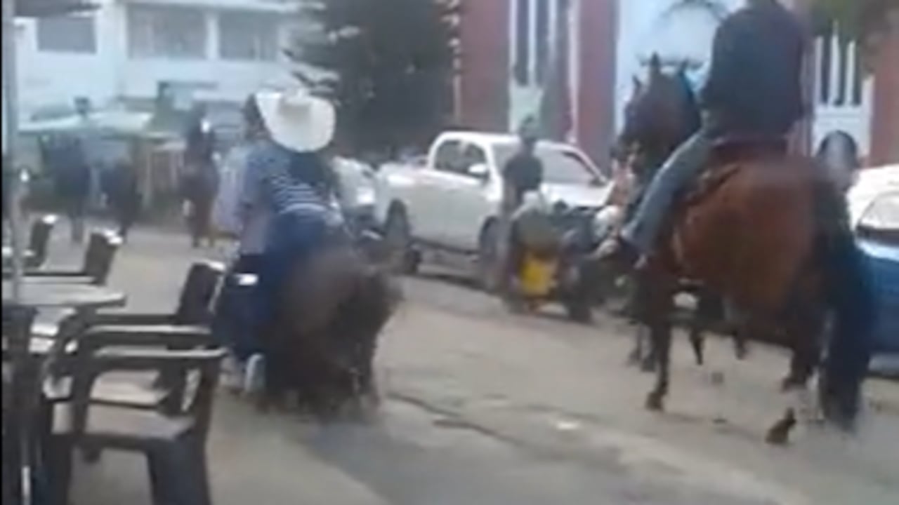 La situación ha tenido el rechazo de fundaciones protectoras de animales