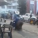 El animal se encuentra en buenas condiciones de salud, según la alcaldía local