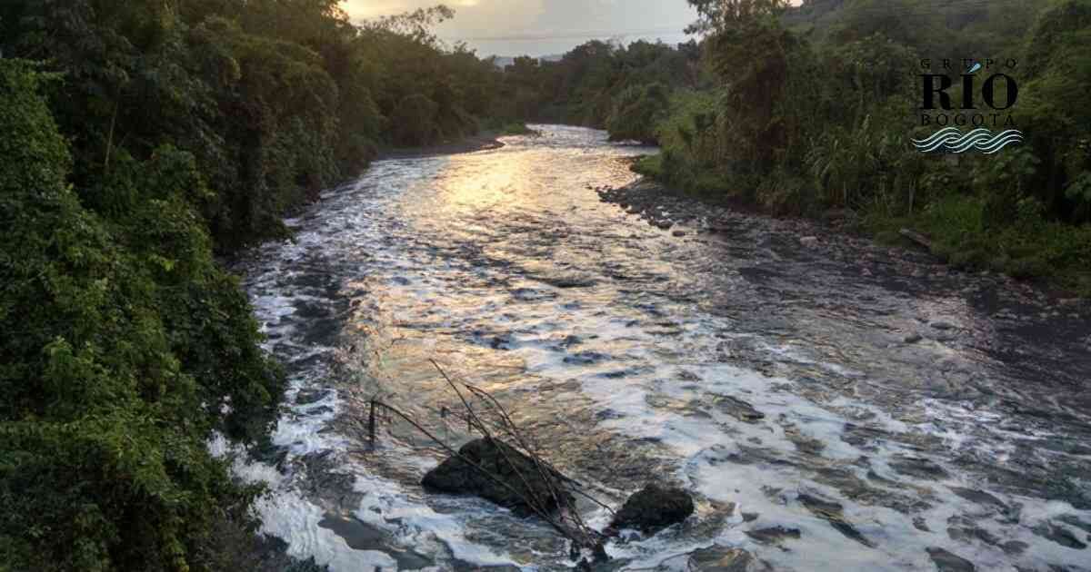 El aceite usado es altamente contaminante para los ríos y quebradas.