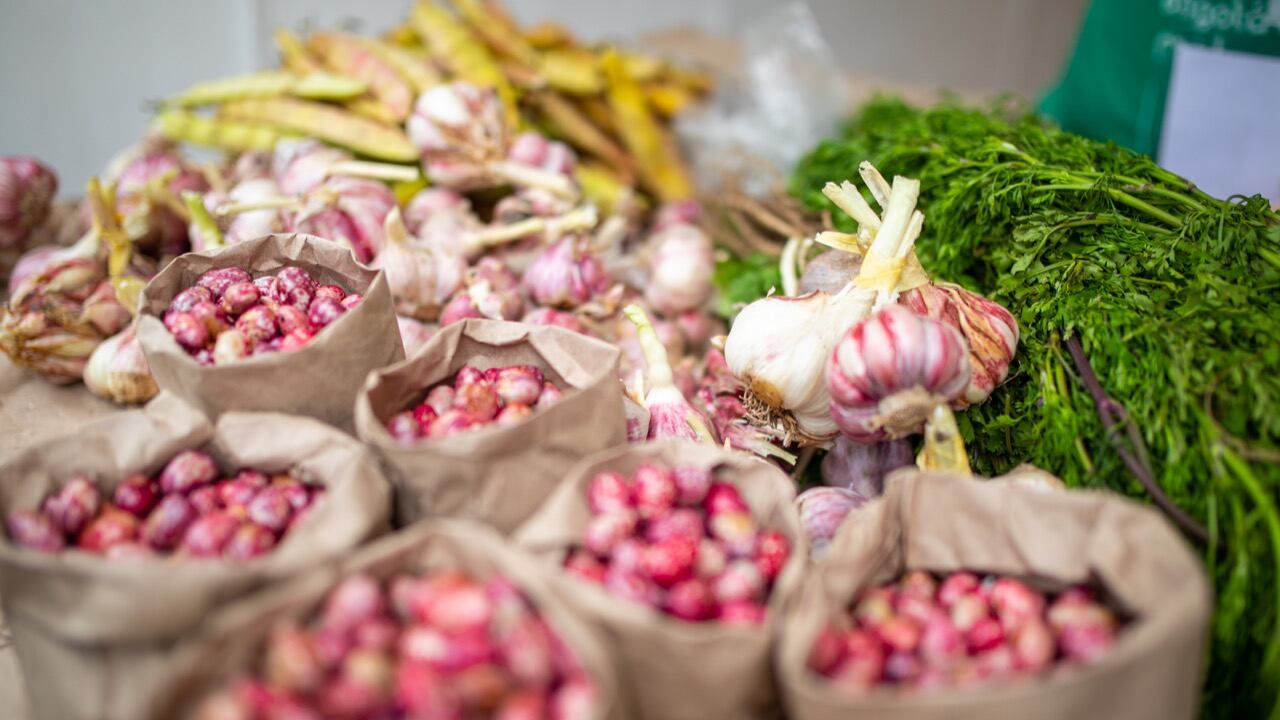 Para el sábado 3 de julio, a las 11 de la mañana, está programado un taller presencial sobre la elaboración de tubulares para agricultura urbana vertical, a cargo de los técnicos del Jardín Botánico; la actividad será transmitida, en directo, a través del canal de Facebook de la entidad.