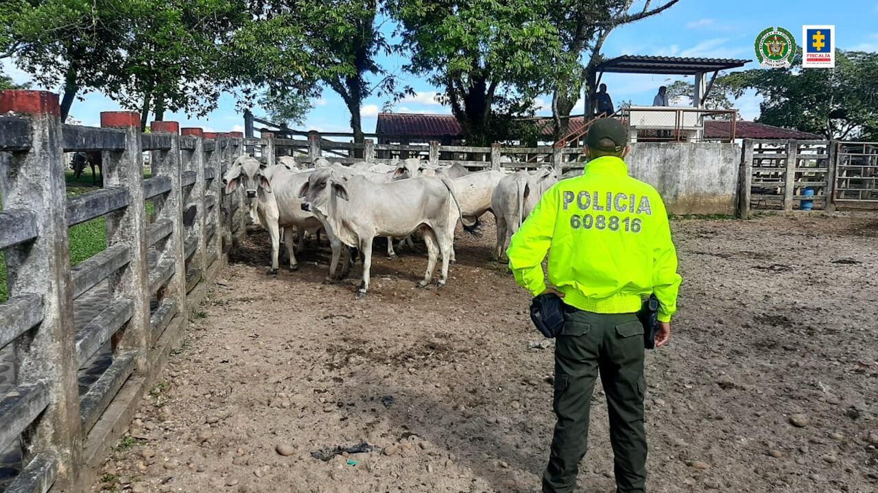 La Fiscalía ocupó con fines de extinción de dominio más de un billón de pesos en propiedades del extraditado esmeraldero Pedro Orejas.
