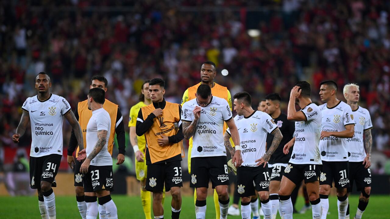 El Timao quedó afuera en cuartos de final a manos de Flamengo.