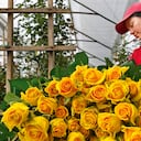 NO USAR, USO EXCLUSIVO MEJOR COLOMBIA, Especial Mejor Colombia, Sectores