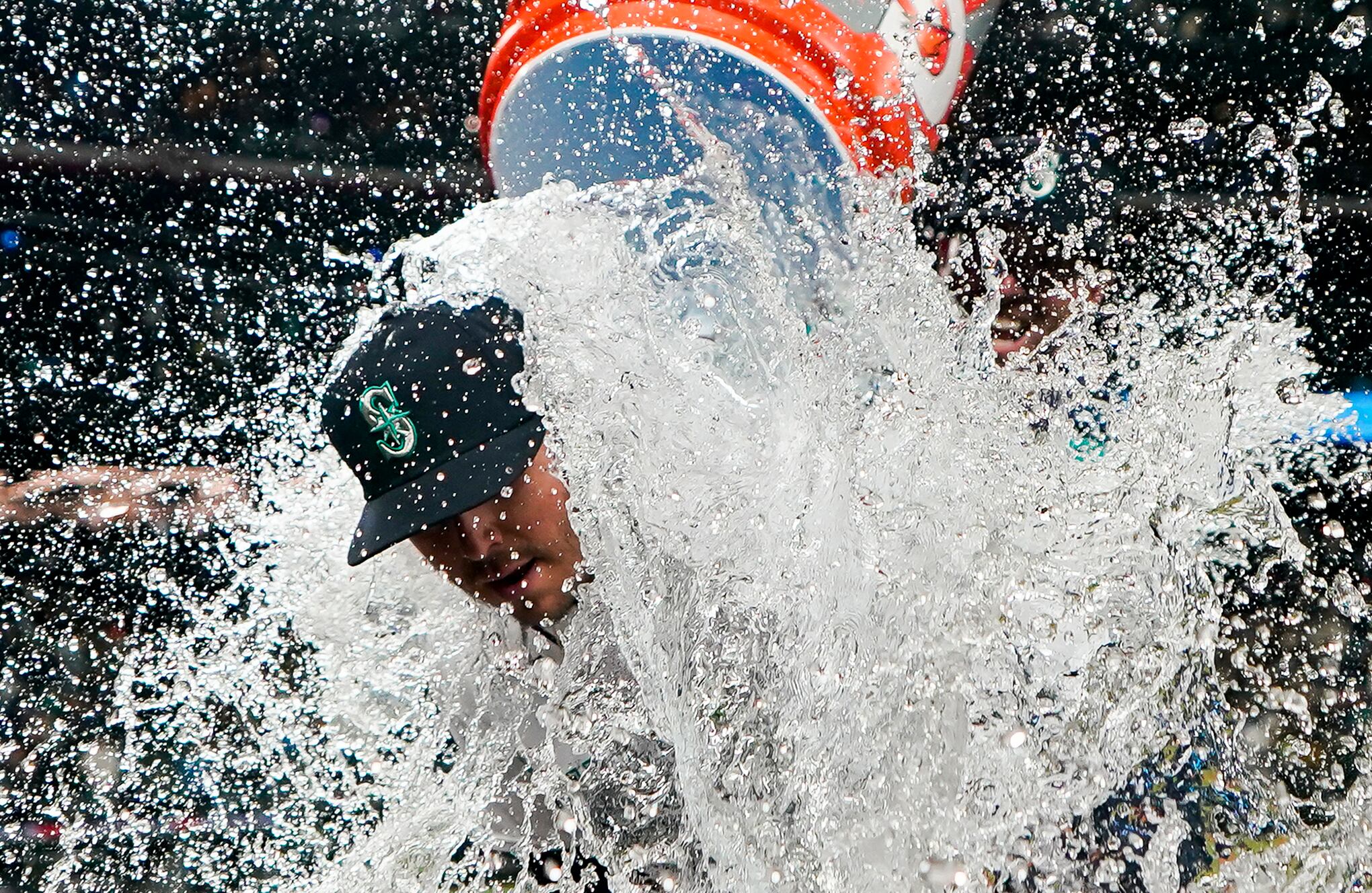 Fotos de la semana 31 marzo