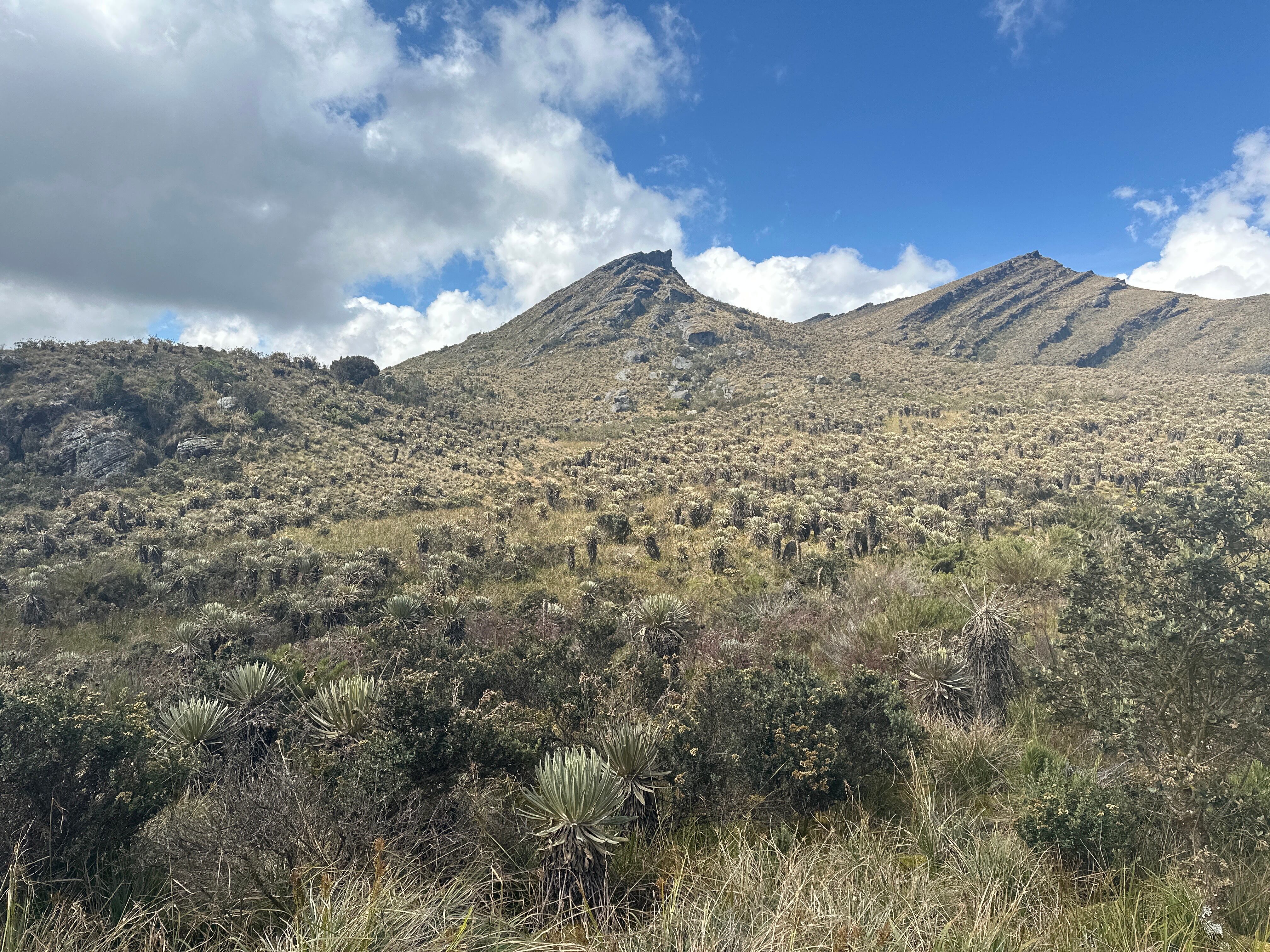 Aliados del Progreso de Colombia, Contenido Coca Cola, Especial Colombia País de Oportunidades