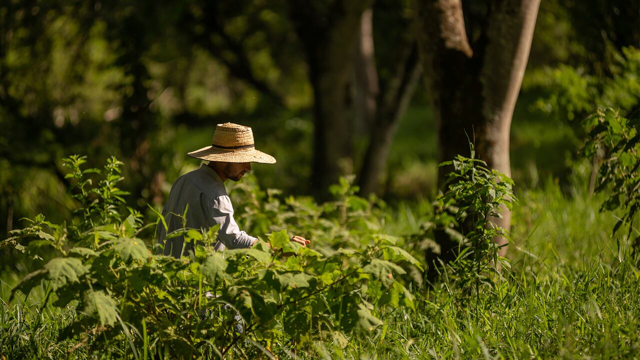 Contenido Comfama, Semana Sostenible