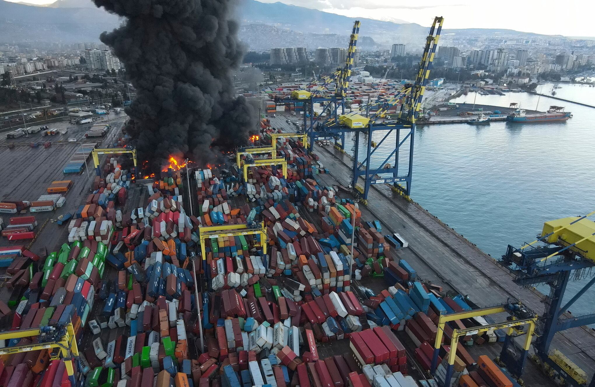 Fotos de la semana 10 febrero