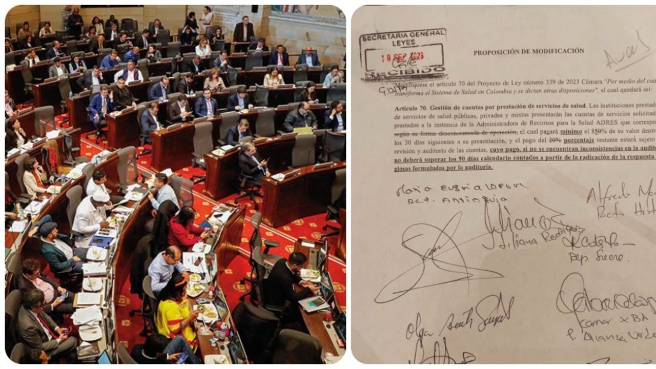 El artículo considerado 'orangután' que fue aprobado en el Congreso.