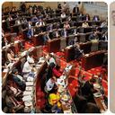 El artículo considerado 'orangután' que fue aprobado en el Congreso.