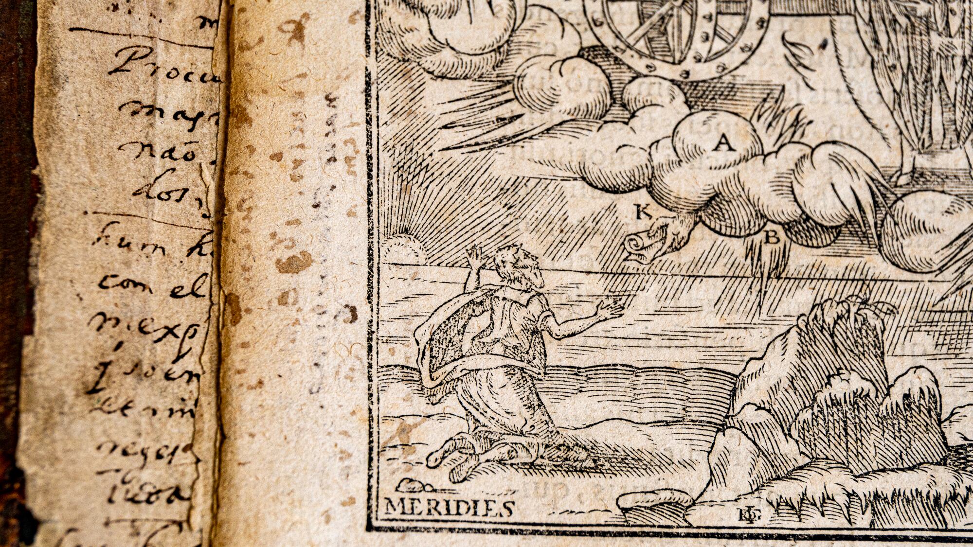 Primera biblia traducida al español, biblia del Oso