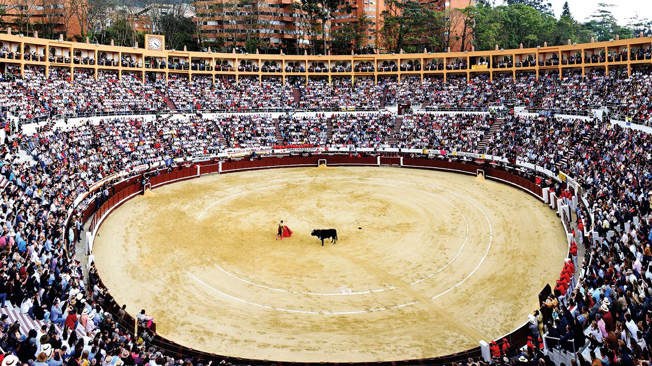 Colombia avanza en la protección animal