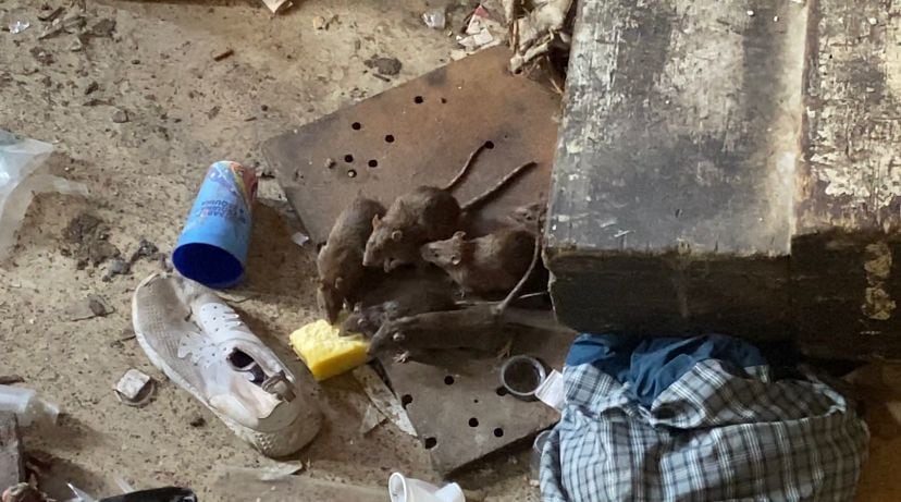 SEMANA llegó a las entrañas de la llamada casa de Los Maracuchos, la banda de asesinos que se enquistó en el centro de Bogotá.