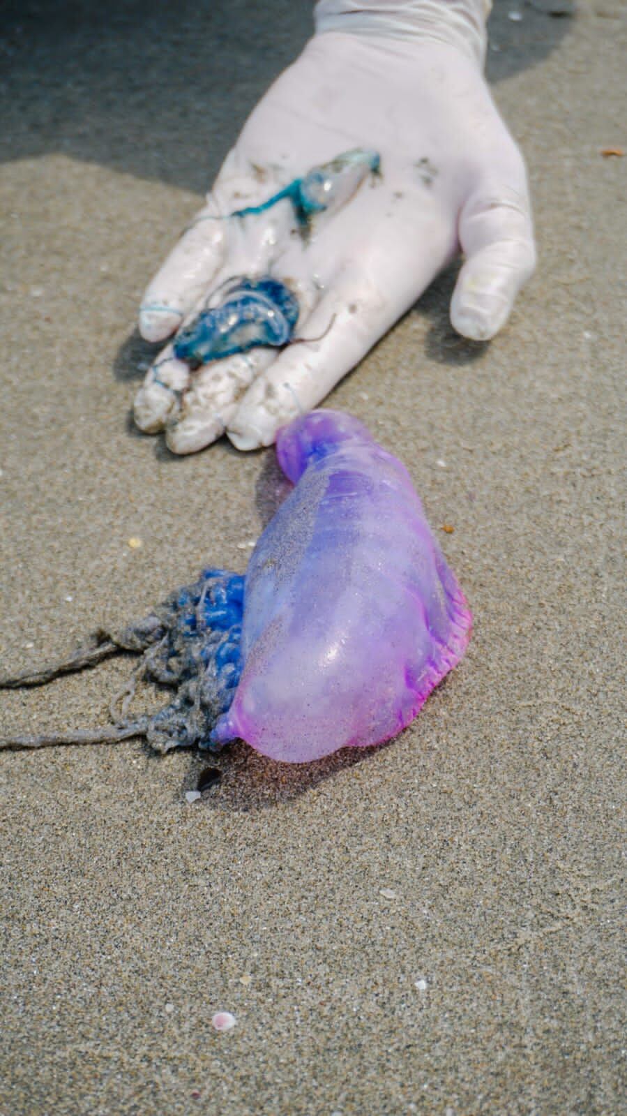 Fragata Portuguesa en Cartagena