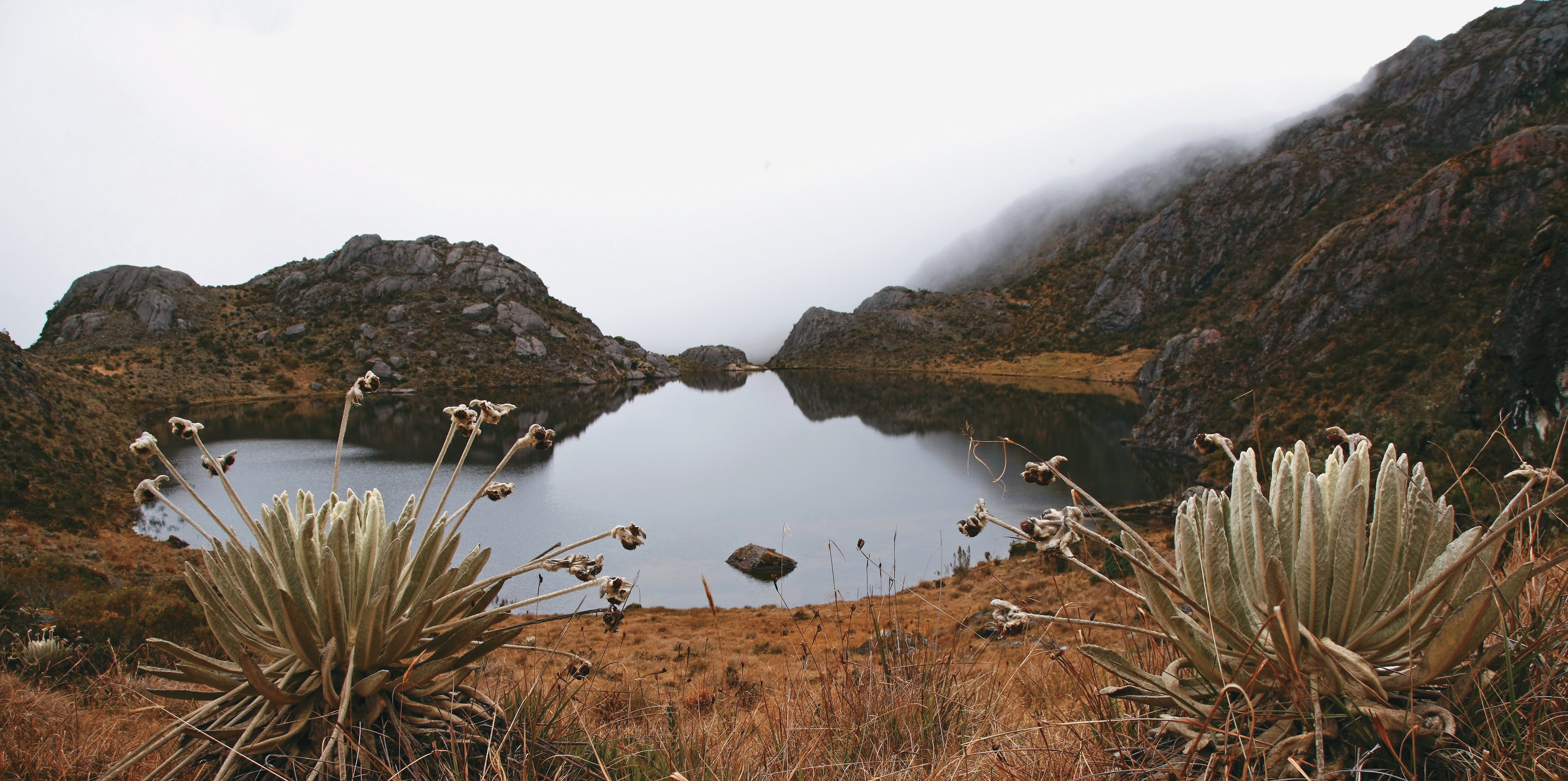 PARQUE NATURAL PARAMO