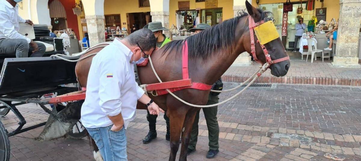 Cartagena le dice adiós a los carruajes tirados por caballos, serán remplazados por carruajes eléctricos importados de China.
