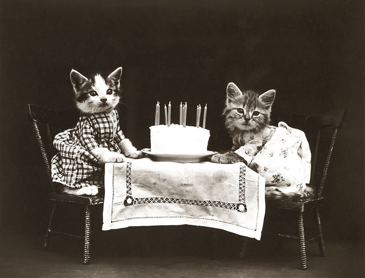 Gatitos en una fiesta de cumpleaños con un pastel (por Harry Whittier Frees, estadounidense, 1879 - 1953), de una serie de gatitos vestidos en diversas situaciones humanas, alrededor de 1914. Impresión en plata. (Foto de GraphicaArtis/Getty Images)